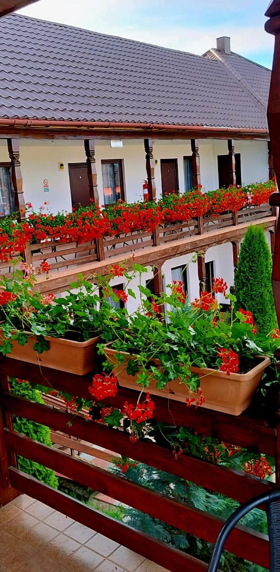 Hotel Cris & Mona Săpînţa Exterior foto