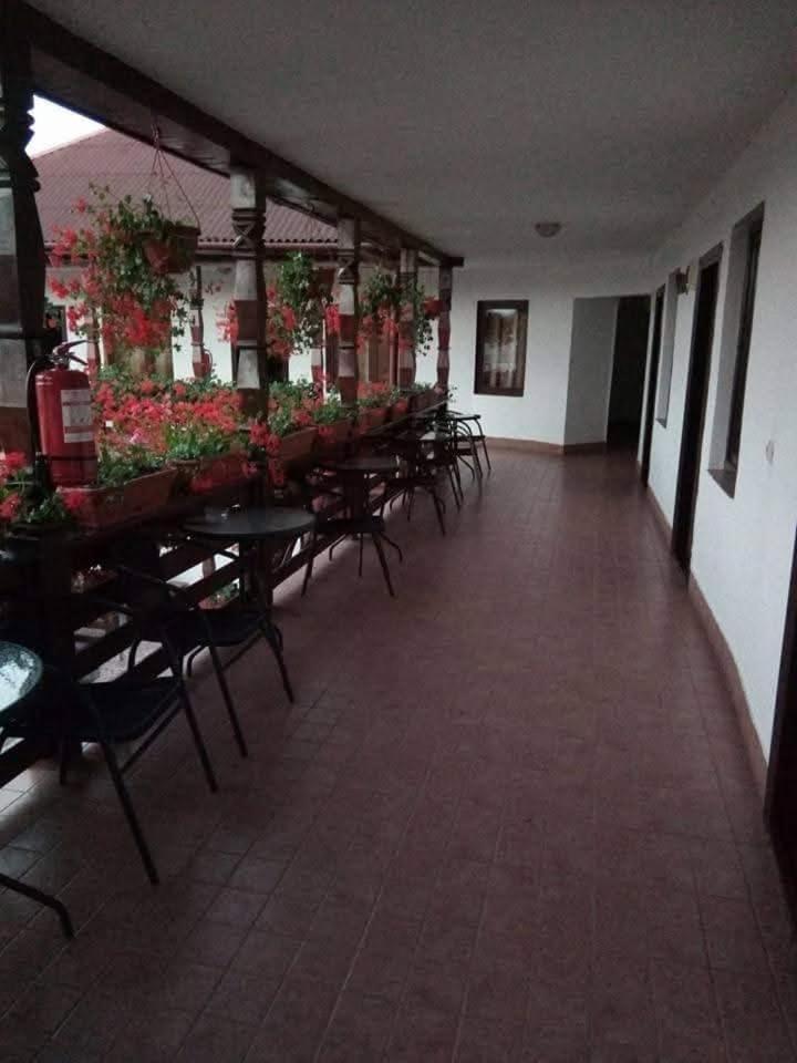 Hotel Cris & Mona Săpînţa Exterior foto