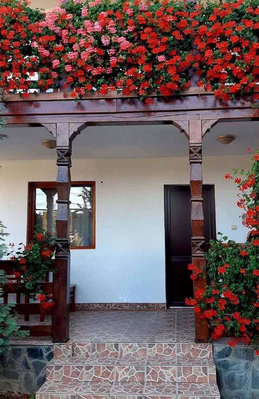 Hotel Cris & Mona Săpînţa Exterior foto